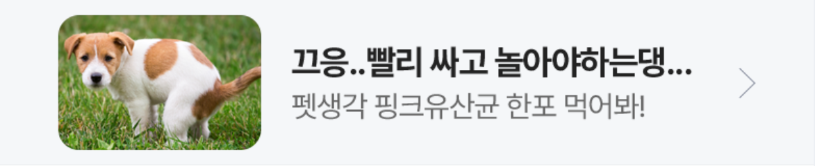 식품/제과 배너